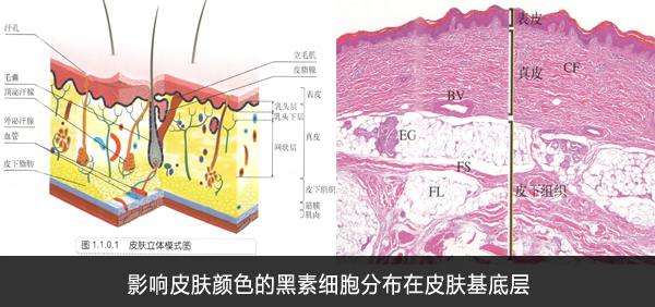 石家庄白癜风医院激光设备有哪些